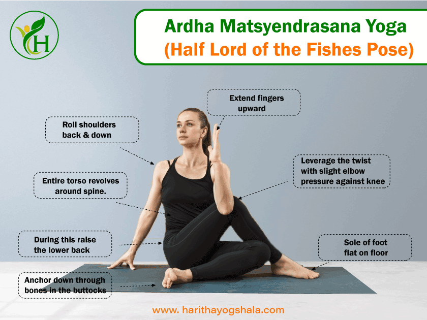 Infographics of Ardha Matsyendrasana Yoga (Half Lord of the Fishes Pose)